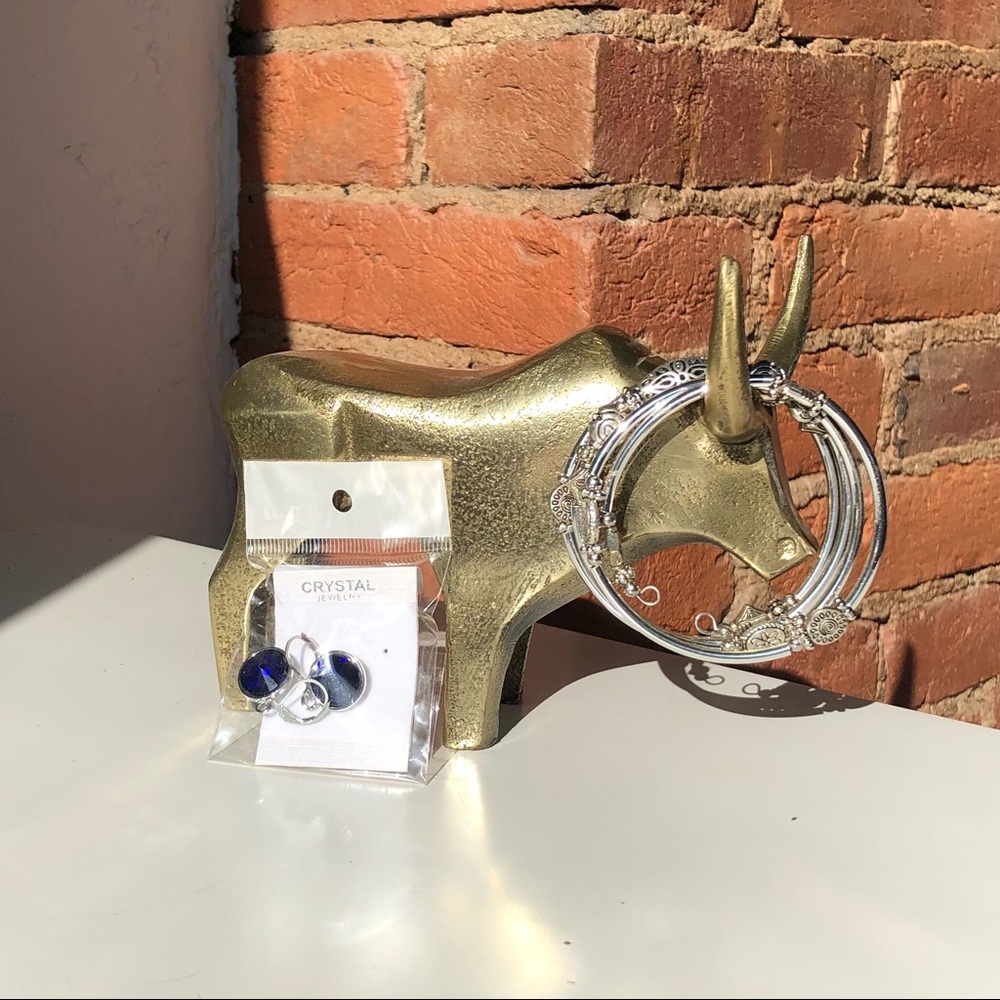 NWT Blue Silver Bracelet and Earring Set
